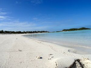 The beaches at Shroud Cay go on for EVER!